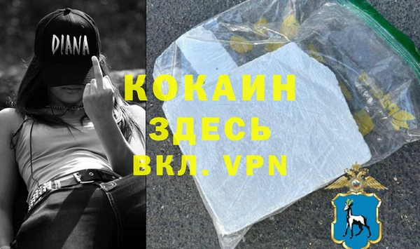 эйфоретик Вяземский