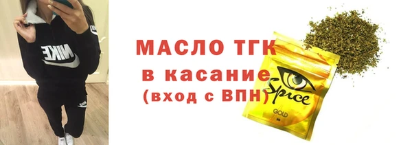 эйфоретик Вяземский