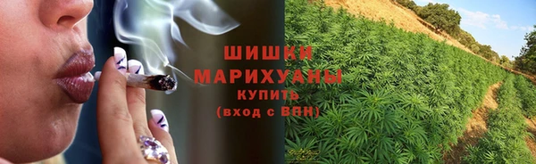 эйфоретик Вяземский